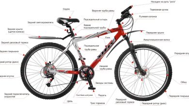 Photo of Особенности конструкции мужских велосипедов