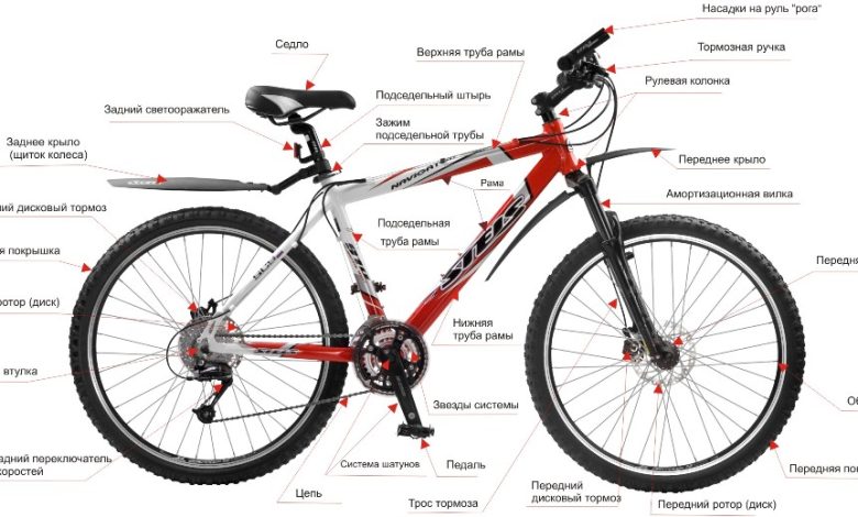 Photo of Особенности конструкции мужских велосипедов