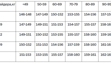 Photo of Выбор материалов для сноубордической одежды мужской